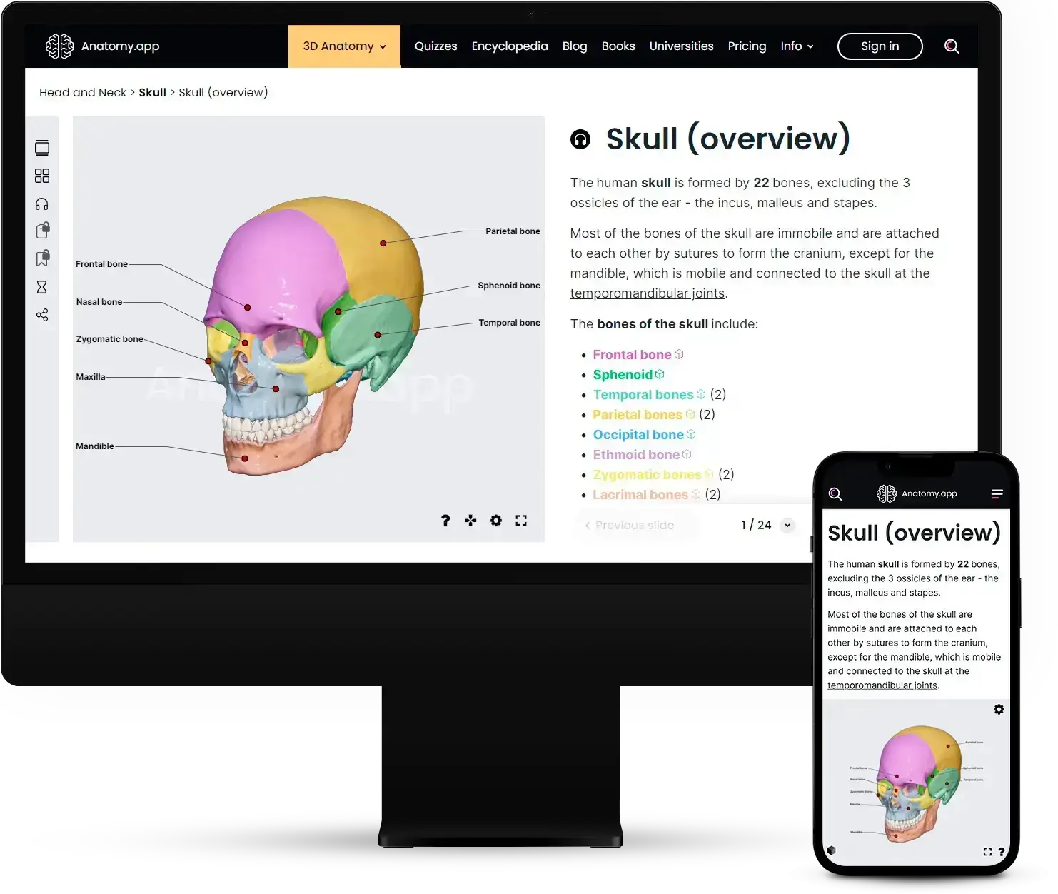 Anatomy.app Screenshot