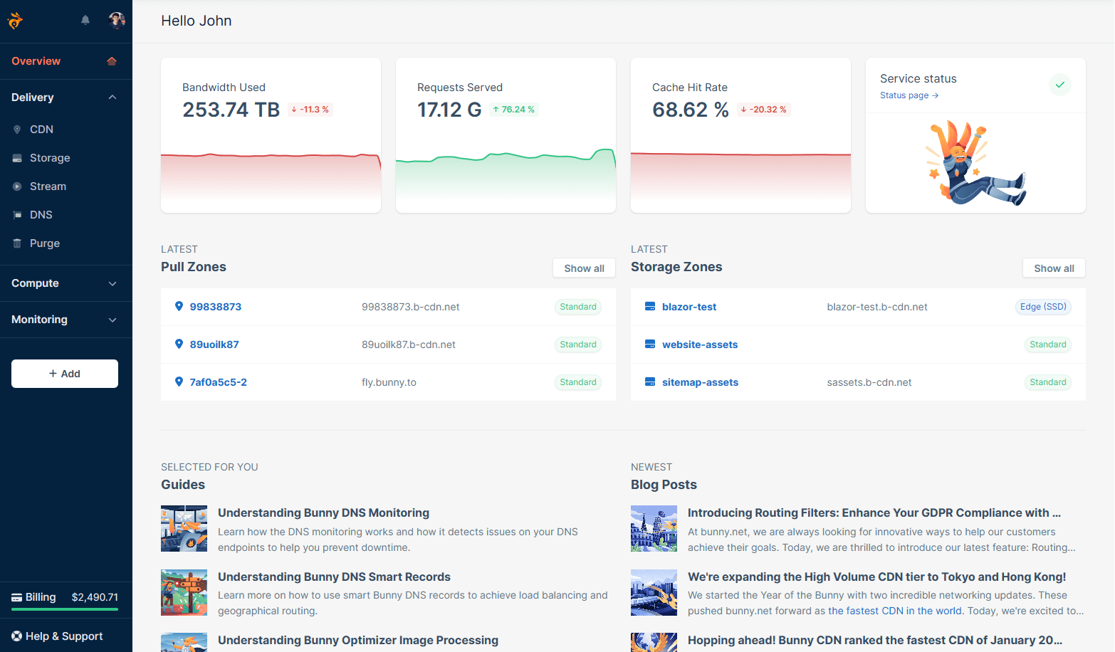 Bunny.net Screenshot