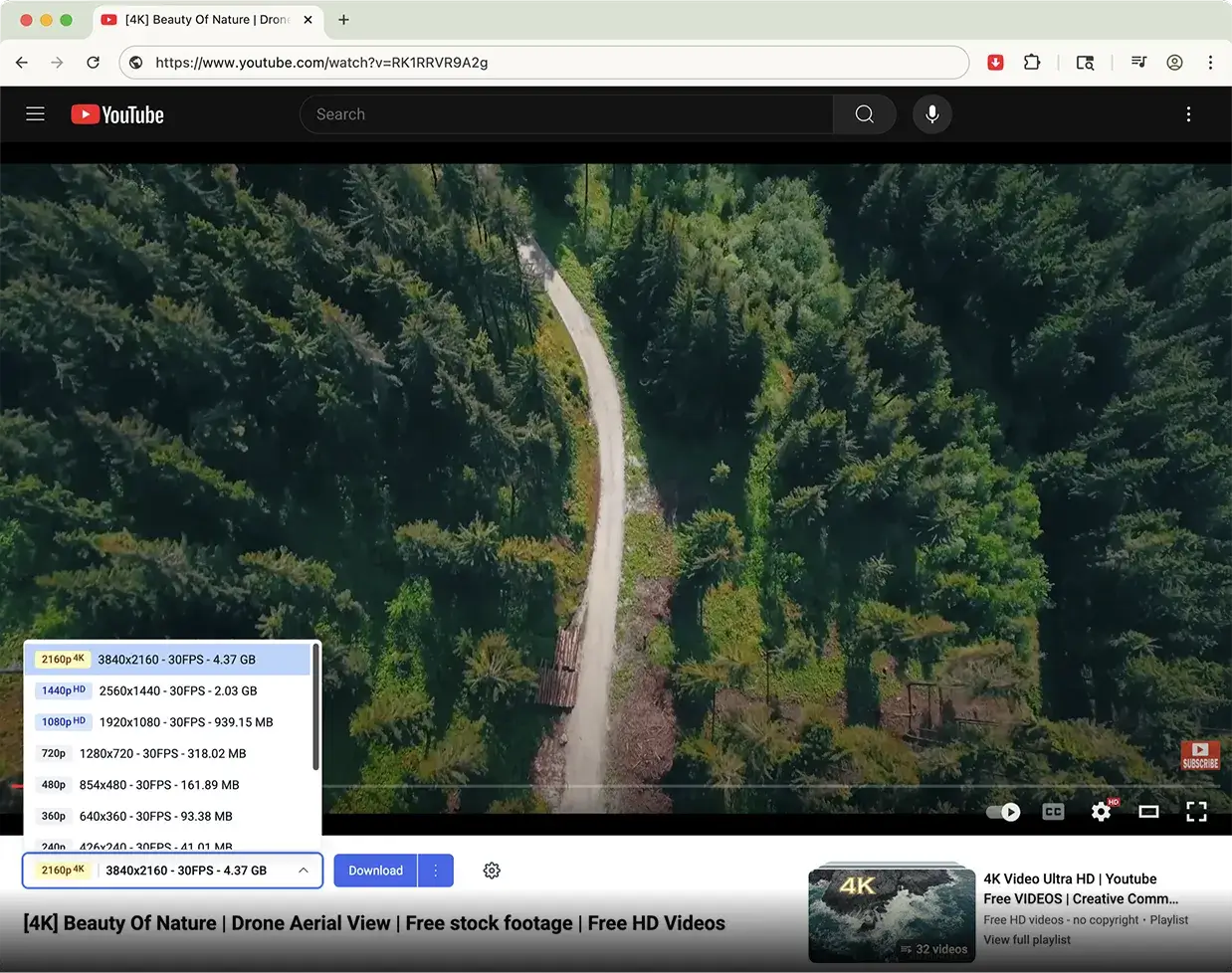 Tubly Downloader Screenshot