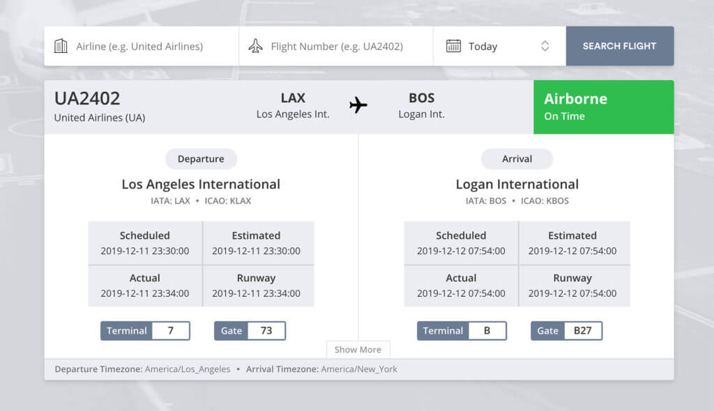Aviationstack API Screenshot