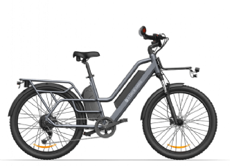 【Cargo E-Bike】ADO Oasis 260T Doppelbatterie