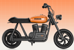Pioneer 12
