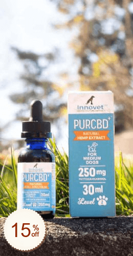 Innovet Pet Rabatt Gutschein-Code