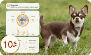 Pawfit Pet Tracker Rabatt Gutschein-Code