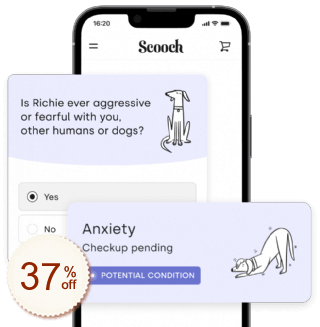 Scooch Pet Rabatt Gutschein-Code