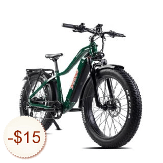 Young Electric Bike Rabatt Gutschein-Code