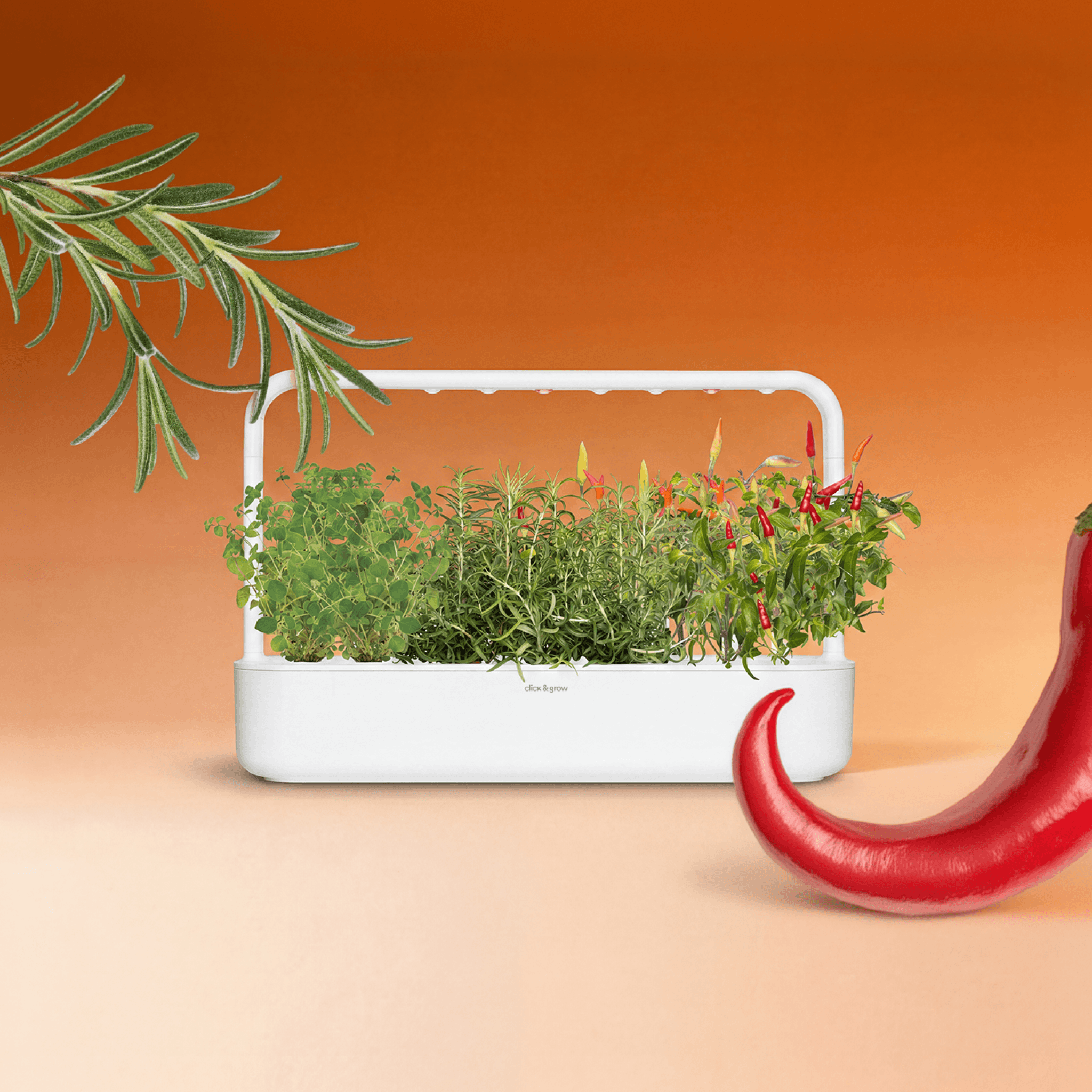 Click & Grow Screenshot