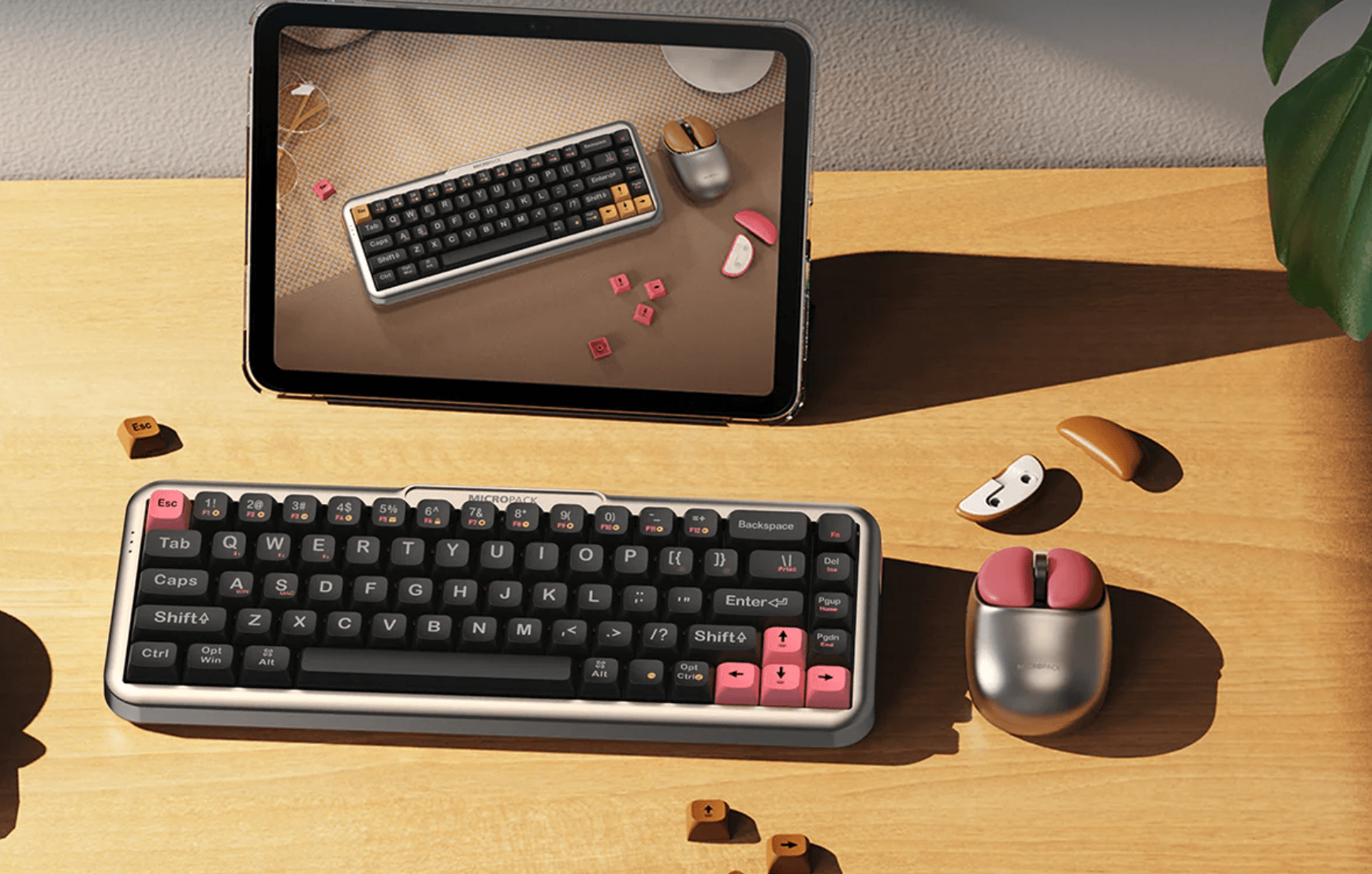 Micropack Screenshot