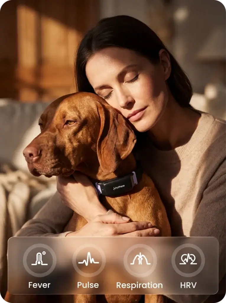 PetPace Screenshot
