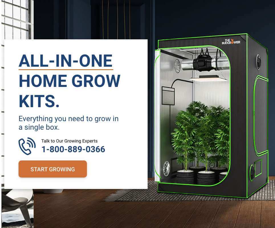 The Bud Grower Screenshot