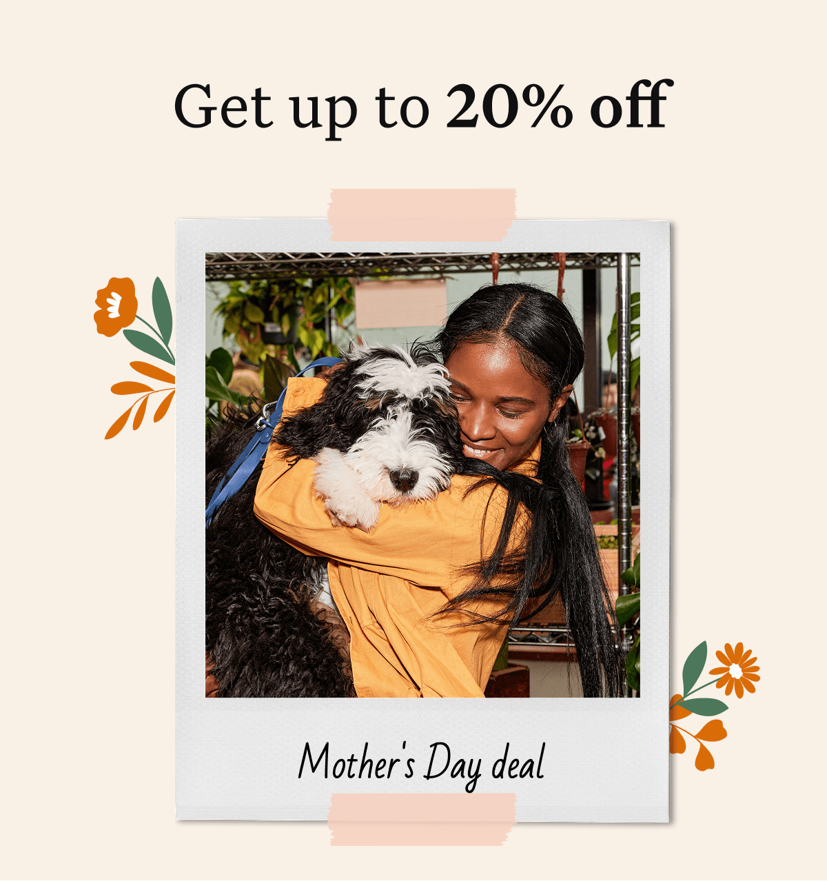Wisdom Panel boxshot