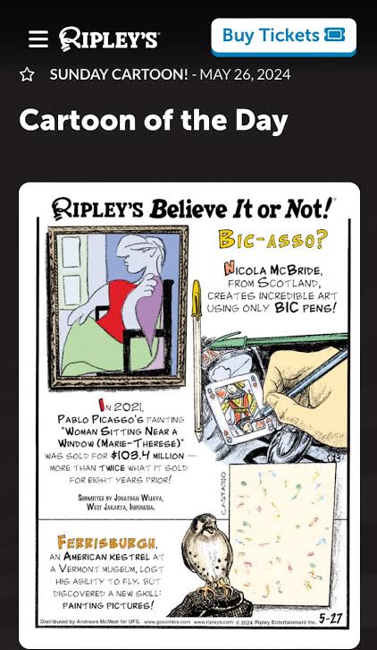 Ripleys Screenshot