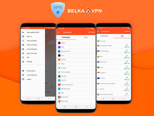 BelkaVPN Screenshot