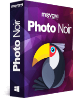 Movavi Photo Noir Discount Coupon