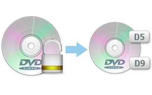 DVD Kopieren